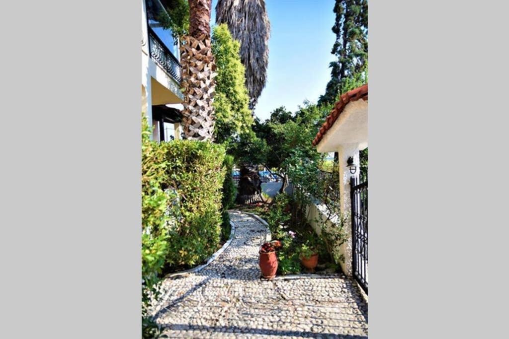 Calma Luxury Apartments #3 Sozopoli In Halkidiki ภายนอก รูปภาพ